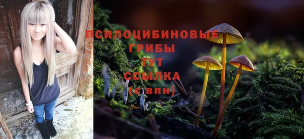 а пвп мука Козельск