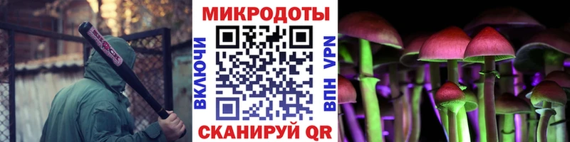 Купить закладки  Павловская  Галлюциногенные грибы GOLDEN TEACHER 